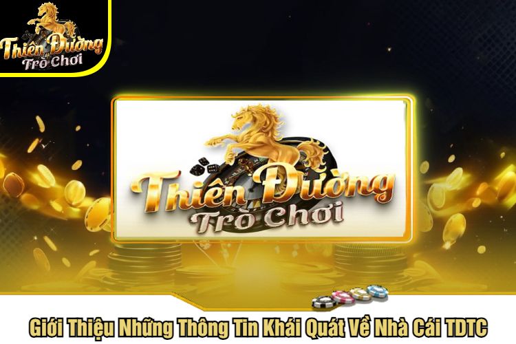 huong dan dang ky nha cai tdtc 681728e9c27ad
